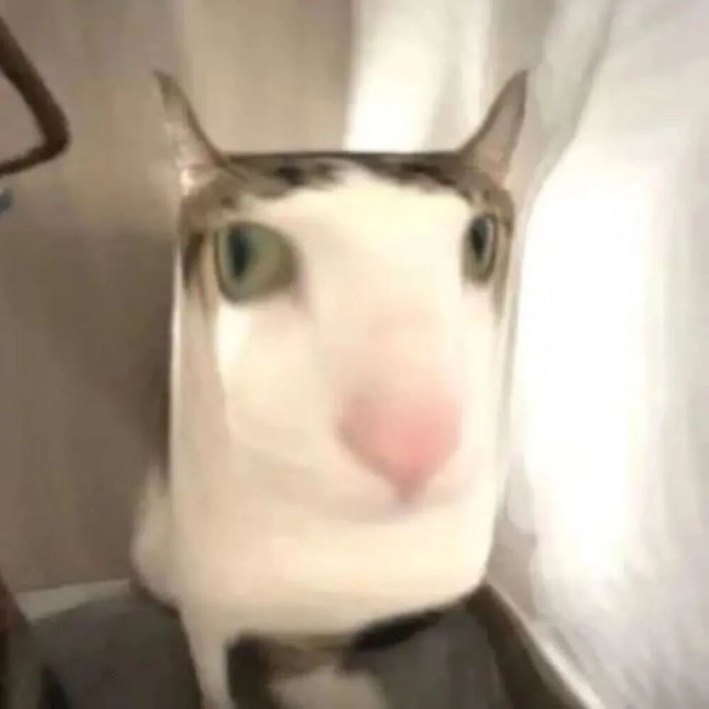 Private Tour (4-Day Trip)Jiuzhaigou + Huanglong + Siguniang Mountain/Bipenggou Valley + Dagu Glacier dwsoogpgsdlp2xn.thumb.1000 0