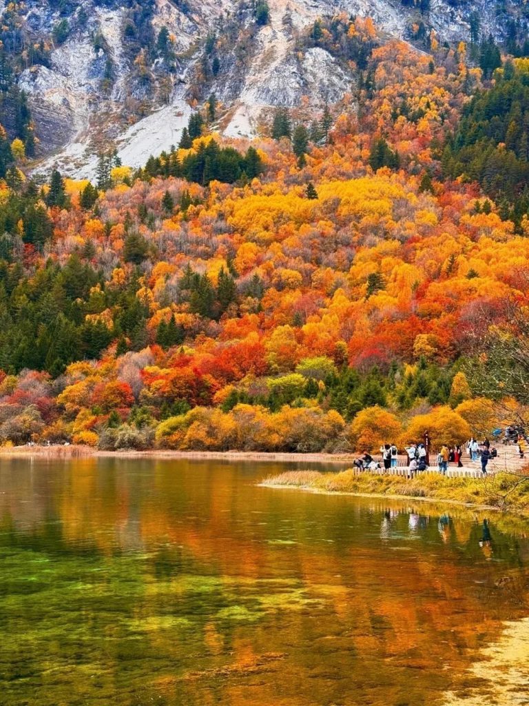 九寨沟即将迎来彩林季🍁真比日本震撼万倍！ 2 时线旅行 来自小红书网页版