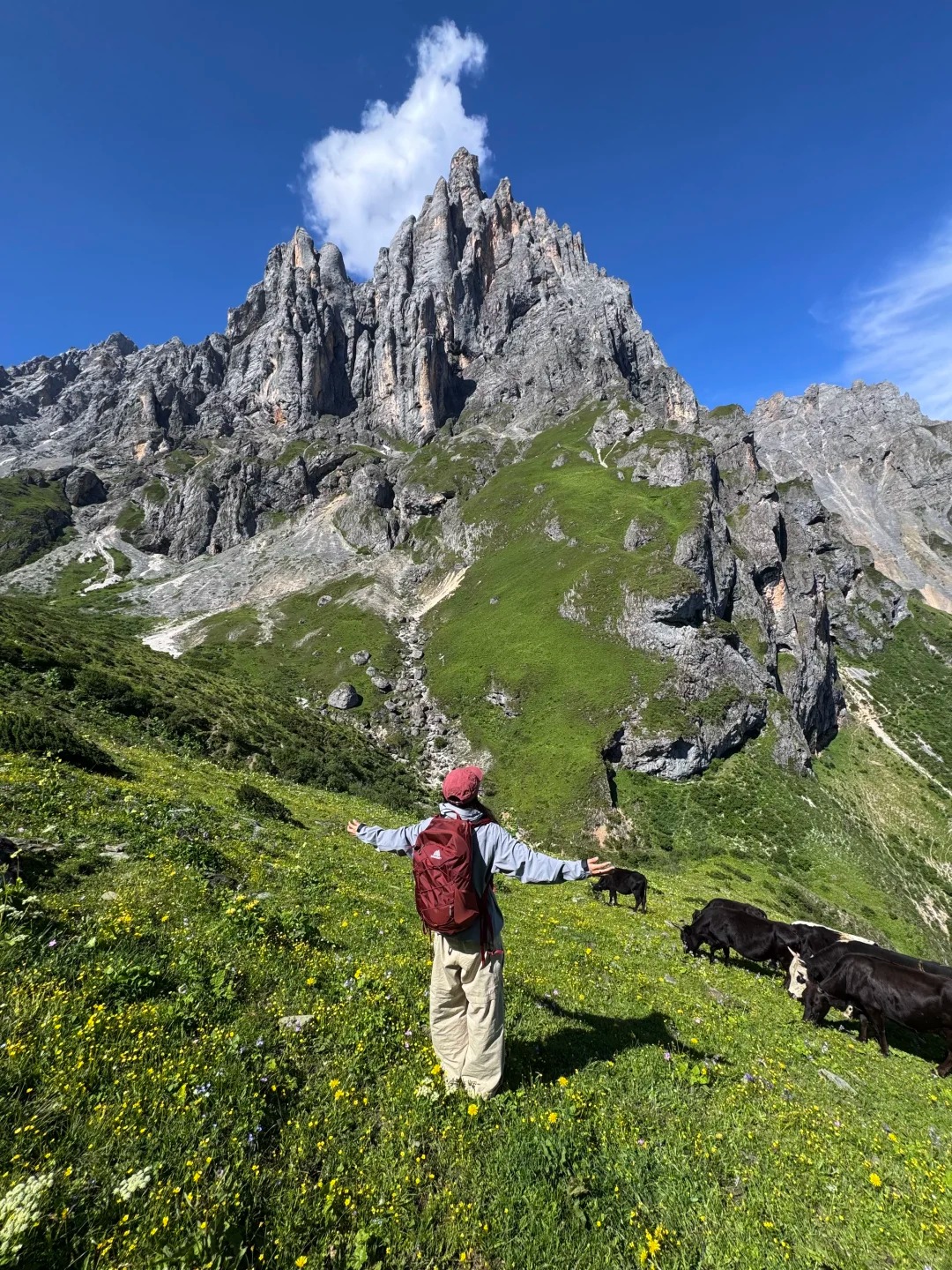 travel 如果是这样的景 那我很爱徒步了 1 勼尔 来自小红书网页版