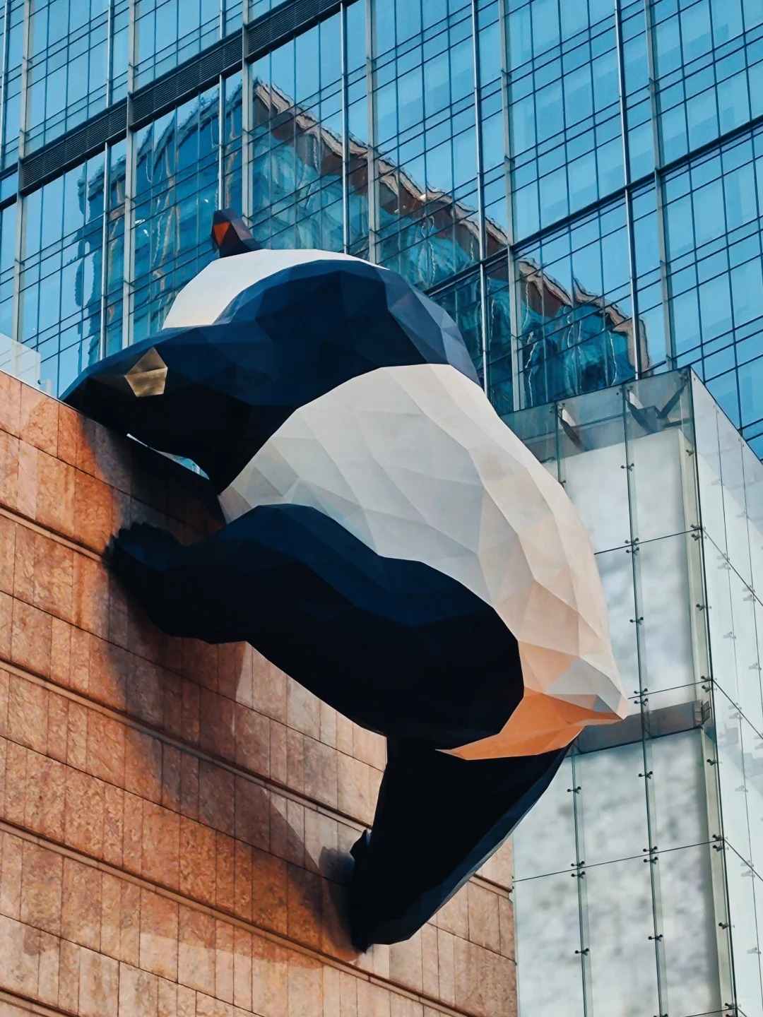 打卡熊猫pp和大头，3d裸眼大屏，附详细攻略 6 西瓜沙田柚 来自小红书网页版