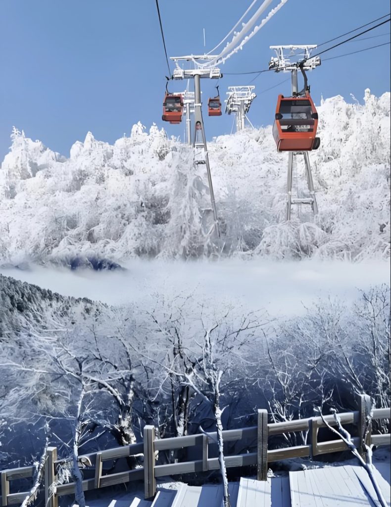 Xiling Snow Mountain+Dujiangyan Irrigation Project+covered bridge 2-day tour 西岭雪山3