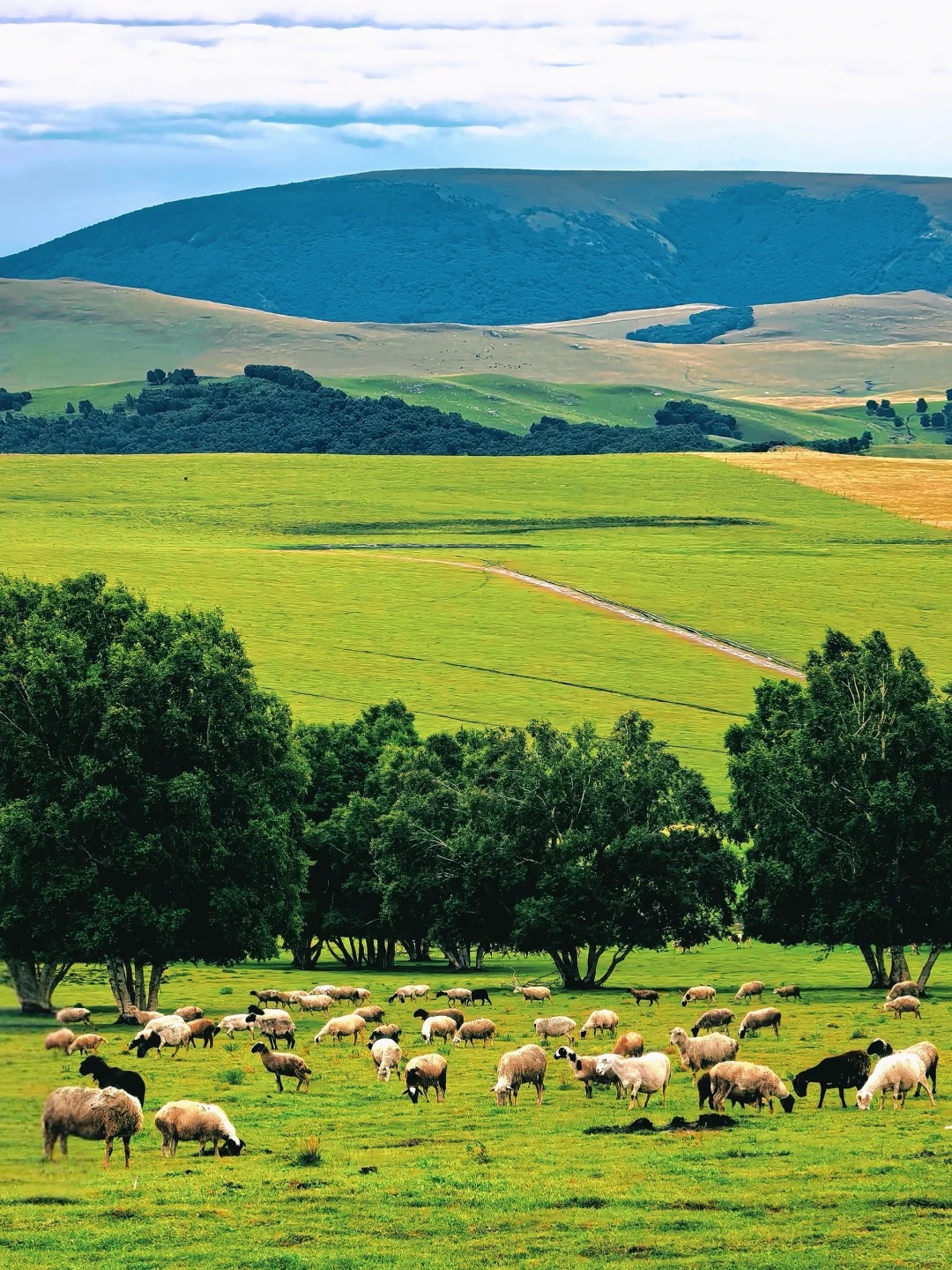 📍乌兰布统 最美的风景都在路上 4 贩卖生活 来自小红书网页版