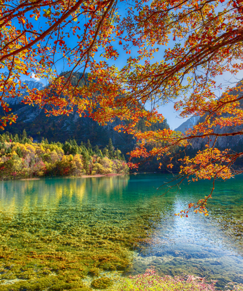 sichuan 九寨沟 (3)