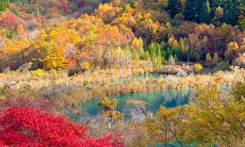 九赛沟最强攻略2（景区版） 1 momo 来自小红书网页版