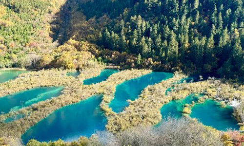 九赛沟最强攻略2（景区版） 2 momo 来自小红书网页版