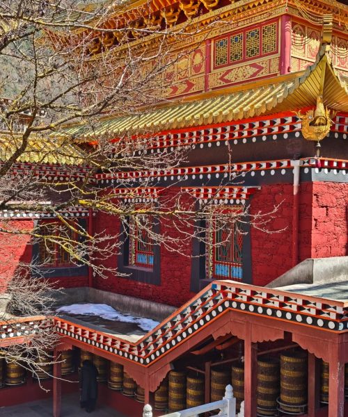 康定市｜溜溜城citywalk 11 大饼包粢饭 来自小红书网页版