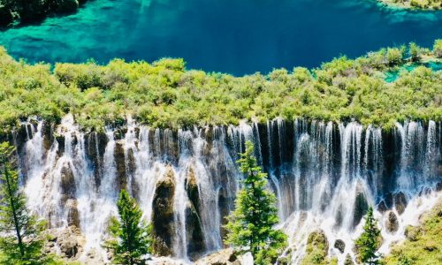 成都➡️九寨沟一日游（轻松版‼️ 3 大西瓜🍉 来自小红书网页版