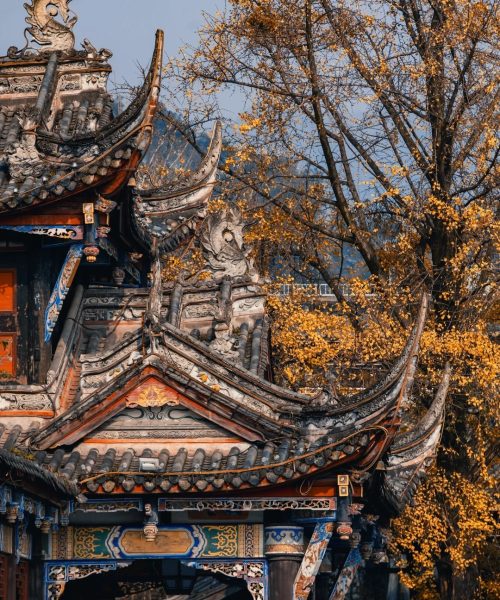 都江堰的南桥，是不是廊桥里的第一美 4 赵欣📷另有用图 来自小红书网页版